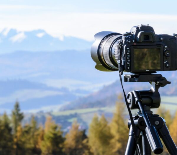 pexels-photomix-company-212372