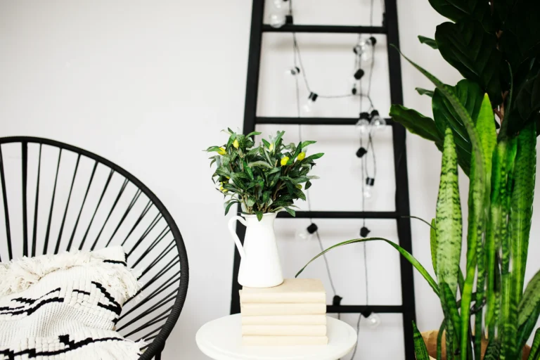 interior-decor-still-life-with-green-plants-2026-03-16-00-33-57-utc